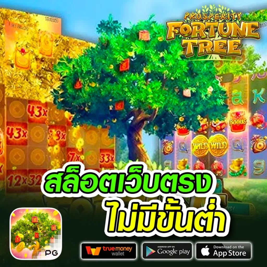 เกม wow55 game